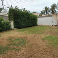 قص ثيل • تنظيف حدائق • كل المناطق