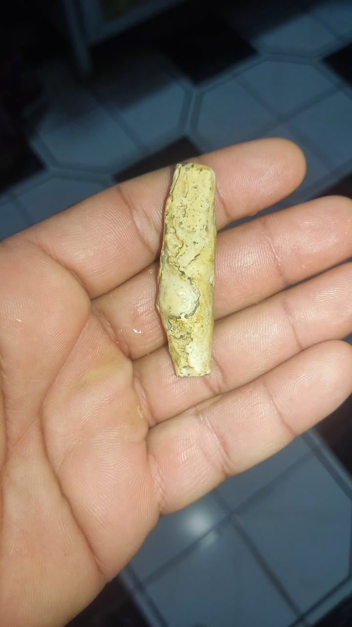 عرك عطف بري ملاكط اصلي طبيعي رباني مجرب ذمه محبه وجلب القلوب على النظره راحه نفسيه جلب الحبيب عقد لسان تسهيل مور جاه وجه مهابه هيبه  للببع *********** الاستفسار وتساب
