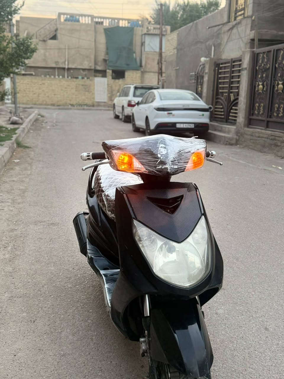 سكنس فحل • ياباني • ما مفتوحه