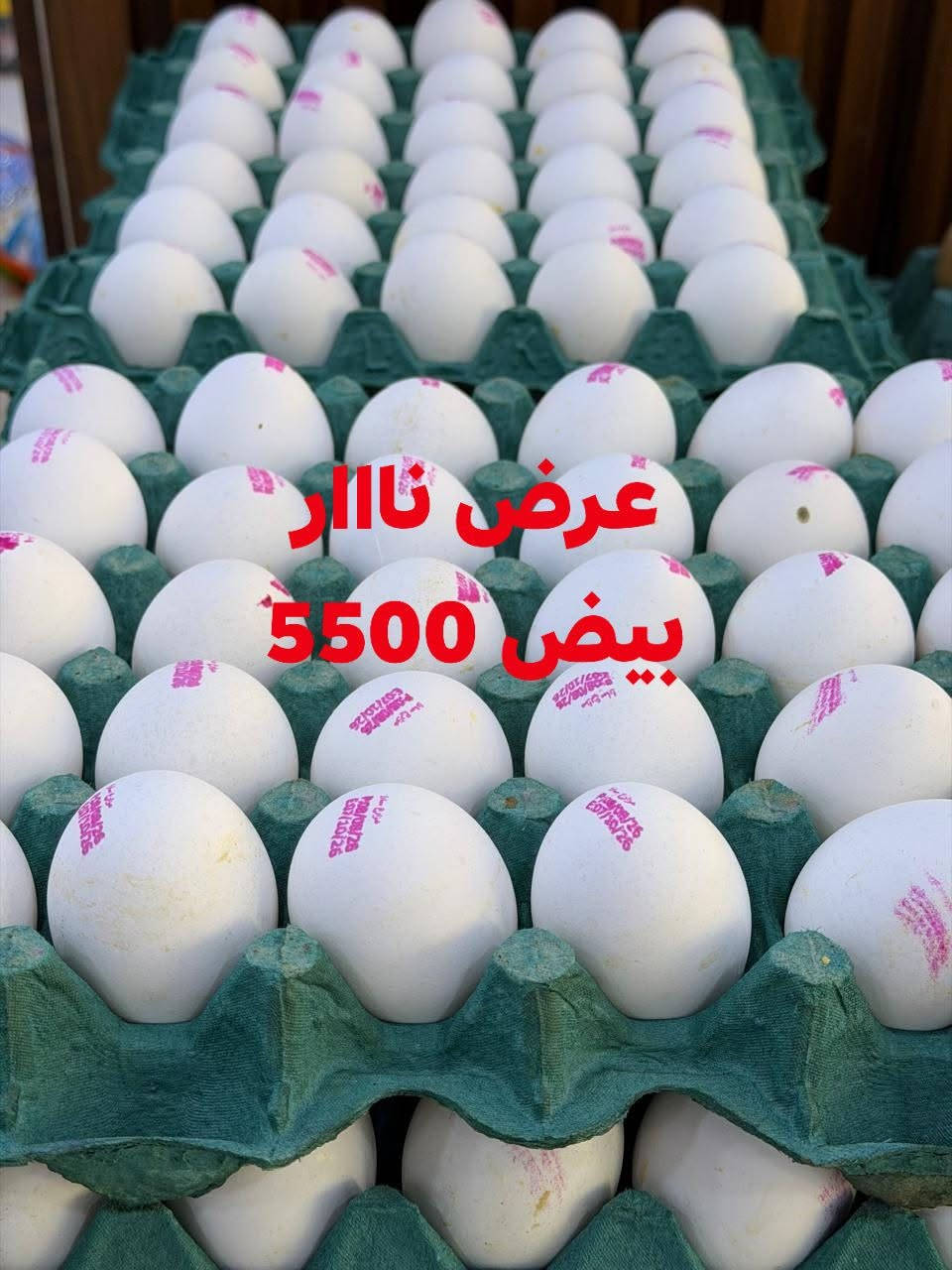 بيض خشن • طرشي الطيب • توصيل