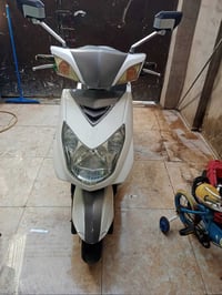 سكنس فحل • ياباني • نازله