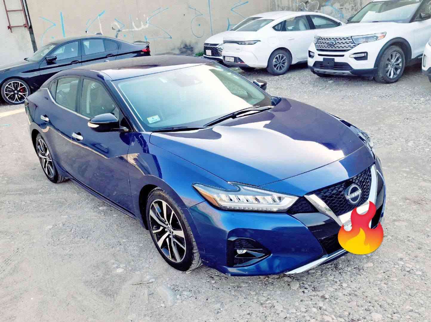 ماكسيما SV • ٢٠٢٣ • رقم اربيل