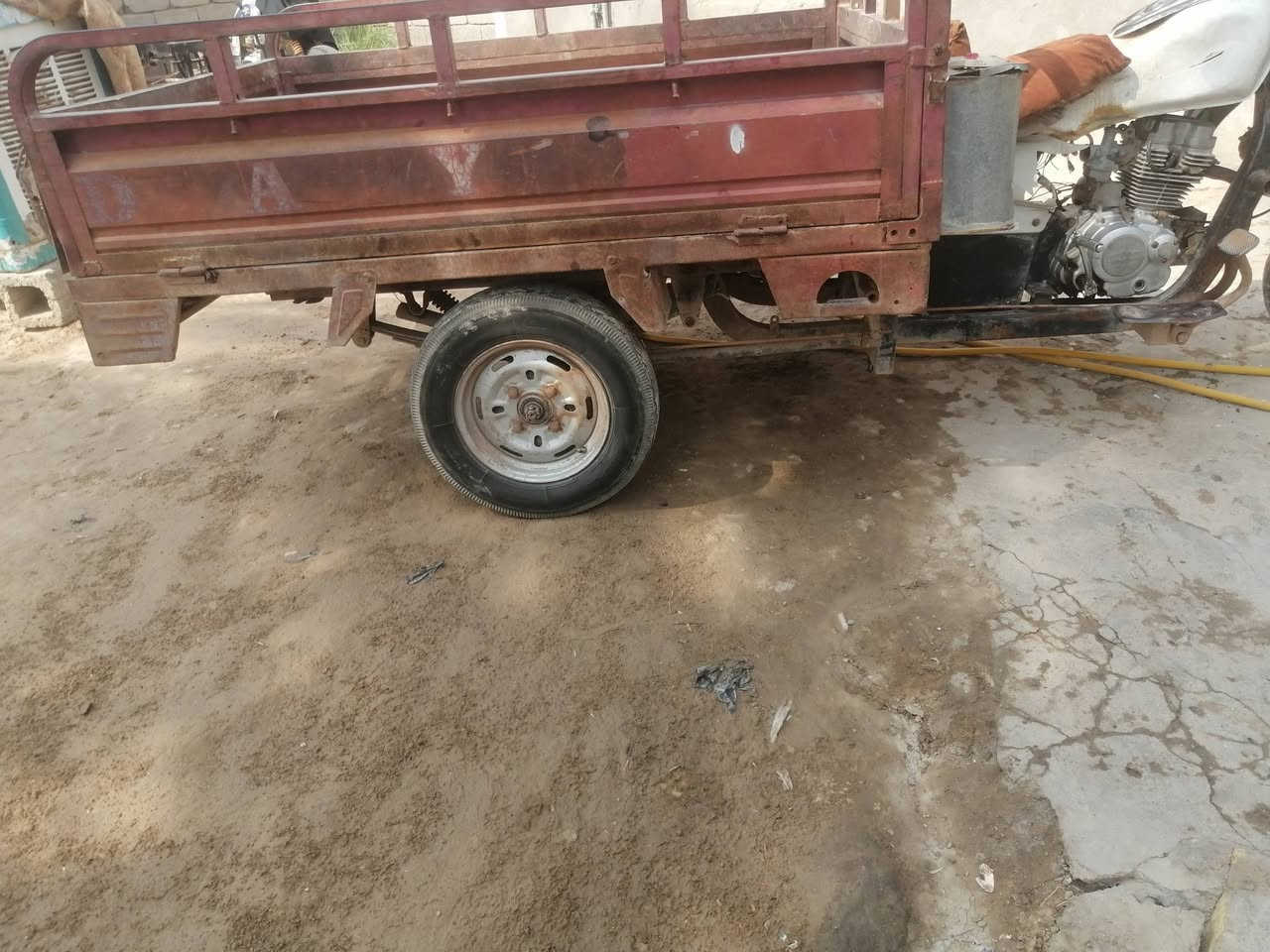 وراق ستنساخ • ٢٠١٠ • شاصي مكفول