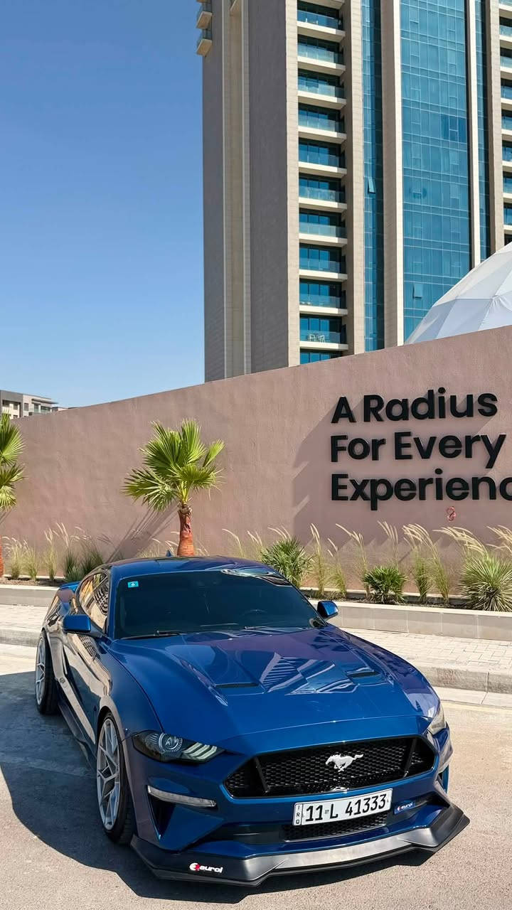موستنك GT 2022
فول ماعدا الدجتل 
 
مكينه (8سلندر) 5000cc
كير اوتو (10)نمر

ماشيه( ٣٩ ) الف 

مكان (بغداد-العامرية)

رقم تلفون : *********** 
رقمها شبهه مميز 

رقم بغداد  الجديد فحص هزة جديد وسنويه باسمي تحويل ثاني يوم يعني ما تحير بصوت اكزوز لو وشومات لن هزة جديده
—————————————————————————

سياره حادثها (بنيد مبدل) (وجاملغ) والجاملغ الثاني بدون اي ضرر فقط رش 

————————————————————————

سياره كير مكينه اكسل كاردن صدرها بحالة الوكالة برغي ما مفتوح بيها
—————————————————————————
نجي على مواصفات فول 1/1 ماعدا دجتال
١- تشغيل عن بعد
٢- شاشة كبيرة sync 3 كار بلي
٣-اكتف اكزوز حسب المود تفتح بوابات(نورمال-سبورت-تراك)
٤-فجوج بريمبو 6بستم
٦-دمام صوت بل صندوك وكالة
٧-تحديد مسار
٨-رادار امامي 
٩-رادار جانبي(نقطة عمياء)
١٠-رادار خلفي 
١١-حساسات خلفيه
١٢-كامرة خلفيه
١٥-ستيرن تدفئه هيتر
١٦-خمس وضعيات قياده(نورمال-سبورت-تراك)
١٧-ترحيب بل مرايه
١٨-هيترات بل مرايه
٢٠-سستم سماعات 
٢١-لايت زنون ابيض من وكالة
٢٢-شعار الموستنك ضوئي من الابواب بلادي 
٢٣-شعار موستنك ضوئي متغير بل دوسات بلادي
٢٥-كشنات جلد 
—————————————————————————

اضافات عليها 
1-ولف حماوه مشميتو 
2-اكس بايب+ اج بايب 
3-لحية ار تي ار
4-شفتات ستيرن
5-تضليل بالسياره كامل امامية وجوانب وخلفيه ومثلثات
6-صبغ فجوج ويل صبغ حراري اصلي

7- تفريغ اكزوز ودوان بايب واكس بايب و لحيم اصلي يم علي وادي اركون من طول لل طول استيل حتى مقاومة للصداء وبوري اعرض صوته مخيف

8-برمجة طلال فور برذر برمجة سيفتي قطرة دوانز ماكو تستقبل بانزين محسن وحيللل قوية السياره بهذا الفايل
9-شفقه خلفيه على جامه خلفيه 
10-لويات تهبيط نصبه سياره 
11- اضافة لحية ار تي ار 
12-لد سموك بل دعاميه خلفية جانبي 
13- لد سموك بل دفيوزر خلفي 
14- بولش ونانو سيراميك يم NVN
15-ويل ماگ وان اصلي 
السعر 215 وقابل للتفاوض 
21,500$

سياره ربع دينار ما بيها مصرف كامله من اي نقص
