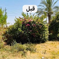 تصفيط بلوك • نقل رمل • تنظيف حوش