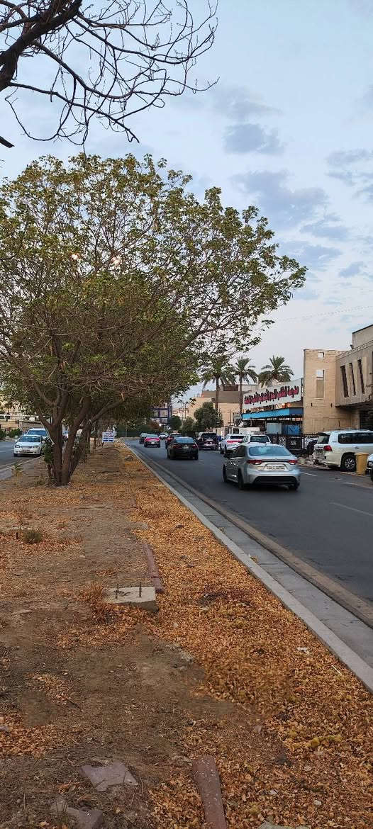 ◀ فرصة استثمارية في المنصور 📍
عقار للبيع بموقع تجاري حيوي (ملك صرف)
– بمساحة 357m وواجهة 12m
البناء الحالي قديم مرمم 
• ويتكون من طابقين؛ الأرضي يضم غرفة وصالة واستقبال، والثاني يحتوي على 5 غرف نوم، مع توفر كافة الخدمات.

☗ القيمة الحقيقية للعقار تكمن في موقعه المباشر على شارع تجاري، مما يجعله مهيأً ومثالياً لإنشاء بناية تجارية.

📞 للتواصل والاستفسار: 
*********** ➦
*********** ➦
