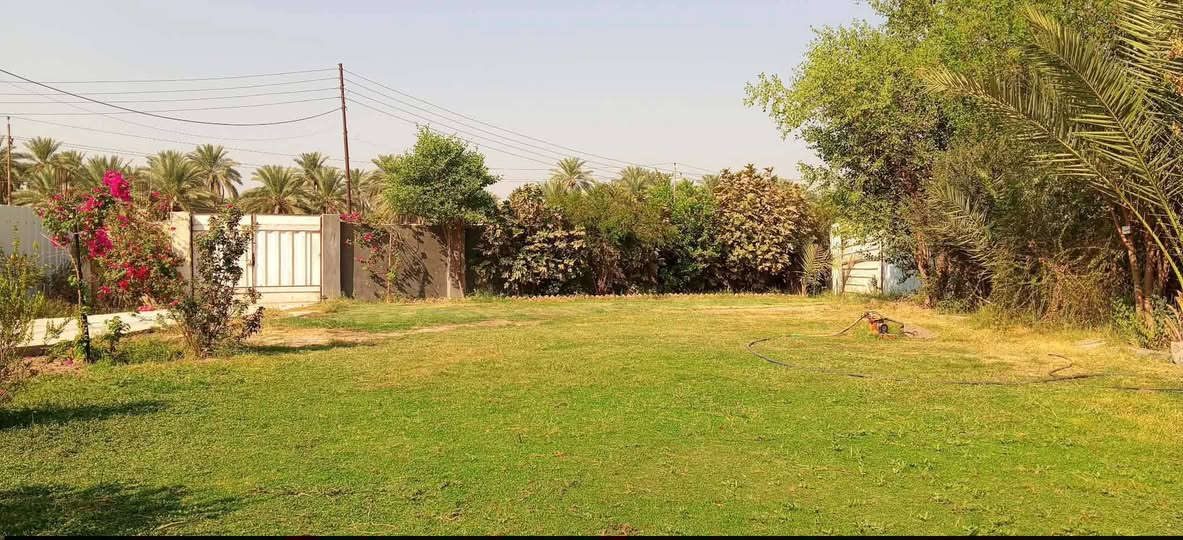 دونم طابو صرف زرعي سند 25
مع بيت كامل بناء حديث مع هيكل غير مسقف 
من ضمن دونم 
امام البيت حديقه وبستان خلف البيت يحتوي على نخيل حمال وحمضيات وتين 
الموقع شارع الرئيسي للعلويه شريفه بنت الحسن طريق بني ساله على شارع رئيسي مباشرتآ منطقه سكنيه مولد خط ذهبي مدرسه قريبه على بيت تبليط باب البيت ماء سقي واساله متوفر
للستفسار اكثر ***********
