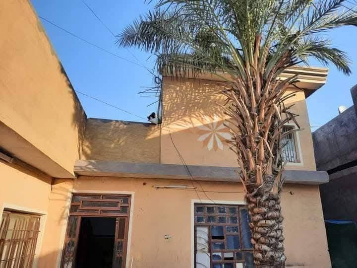 دار للبيع طابقين في الفلوجة حي الجولان قرب العلوة المساحة  ٢٤٥م يحتوي  الطابق الأول على غرفتين ٥في٤ مع صالة مع استقبال مع مطبخ مع منور مع حمام مع الصحيات
مع الحوش مساحة واسعة
الطابق الثاني غرفتين للاستفسار خاص اوالاتصال على الارقام التالية ***********
*********** بيع مستعجل 120 وبي مجال شي قليل موقعه حلو صاير ركن ومساحته جبيره وشارع ڱڵـه  صب ونضيف ومنطقه راقيه ونضيفه وحلوه اتصل ومانختلف
دار للبيع طابقين في الفلوجة حي الجولان قرب العلوة المساحة  ٢٤٥م يحتوي  الطابق الأول على غرفتين ٥في٤ مع صالة مع استقبال مع مطبخ مع منور مع حمام مع الصحيات
