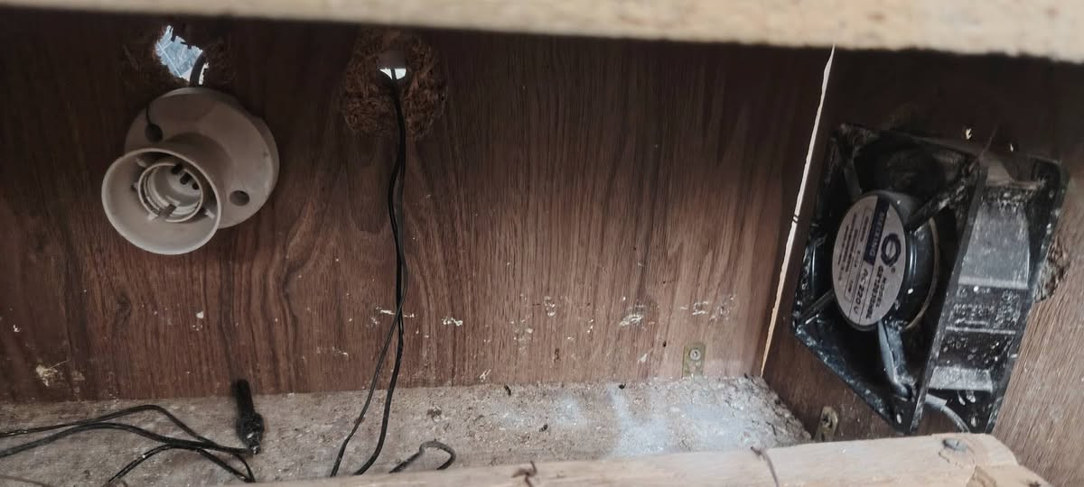 فقاسة • ١٥٠ بيضه • ضمان