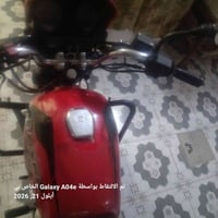 بوكسر جبلي • ٢٢ • أوراق اصولي