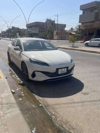 فول اوبشن • ٢٠٢٥ • رقم بغداد