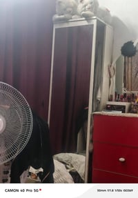 ٦ قطع • مرتبه • حلوه
