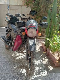بوكسر جبلي • ٢٠٢١ • مرتبة