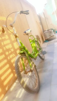 بسكليت • العوان الزعفرانيه