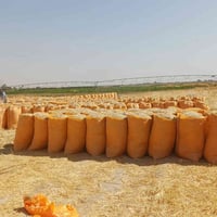 تبن أبو ٩٠ • توصيل حسب المكان