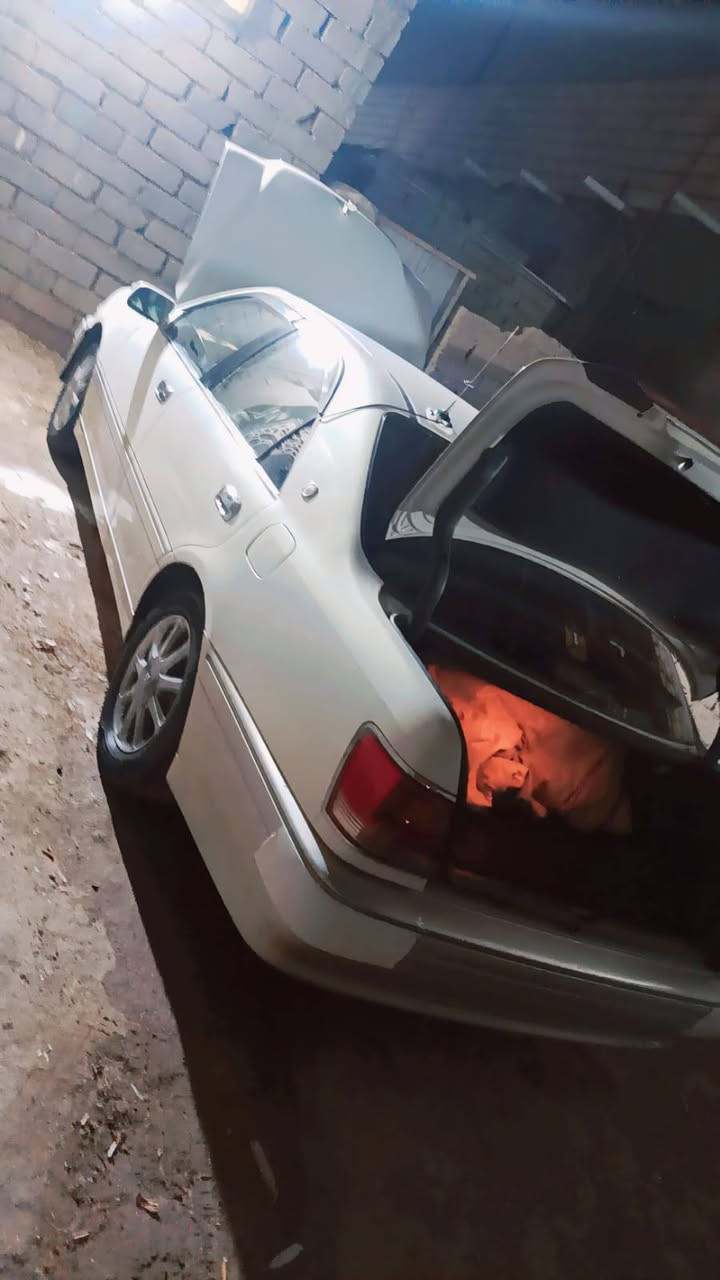 السلام عليكم وين اليدور دخول جديد سياره كارتون كرستال أصل سياره ناشفه كفاله ما عده كصه قماره ديفور جبير مرغوب حداد طوبه ويل نجمه الصلي سياره عل وضع الشركه ما ملعوب بيه المكان ناصرية قضاء الجبايش الاستفسار *********** والشراي بخدمته
