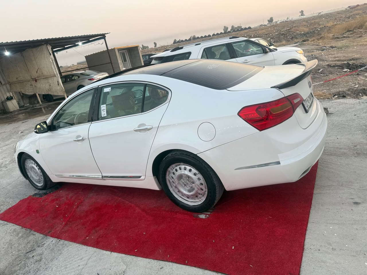 ٢٠١١ • سونار • بدون لوحات