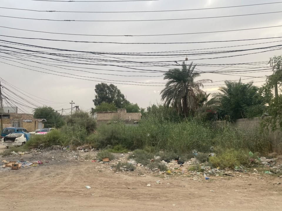 الكوفه جسر الامام علي • ارض زراعيه • ركنين على شارعين