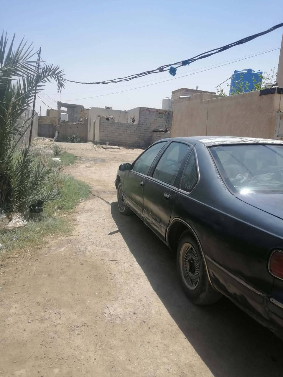 دولفين • كفالة مكينه • ناصرية