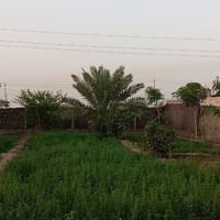 طريق السنية • ٩٠٠م • أرض زراعي