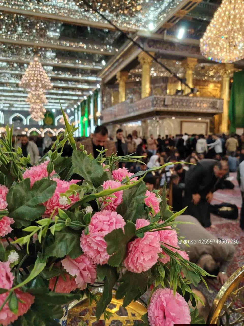 ‼️إنتباه‼️
تعلن حملة أبا الفضل العباس 🕌

♦️إلى عوائل الديوانية ♦️

♦️كل خميس ♦️

♦️الاجرة فقط 5الاف دينار 👇

1️⃣ زياره الى كربلاء المقدسه 🕌 

 الانطلاق 8ليلآ 🚸 

العودة بعد صلاه الفجر 📢

اخي الزائر اجرتك فقط 5الاف ♦️

عنوان الانطلاق من الديوانية 👨‍👩‍👧‍👦👨‍👩‍👧‍👦

التجمع الاول تقاطع ستين 🚸

التجمع الثاني فلكه العلماء 🚸

التجمع الثالث فلكه النسر اسواق طيبة 🚸

التجمع الرابع م الخيل مع الجدارية 🚸

التجمع الخامس حي الامين والسنية 🚸

عوائل فقط 👨‍👩‍👧‍👦👨‍👩‍👧‍👦

من الأن بدت الحجوزات 💻💻🧿

الحجز مثل ما عودناكم عن طريق الموبايل 

الحجز ***********وتساب خاص 

الحجز ***********واتصل📱📱

تكدر انت بل بيت وثبت حجزك 📲

من الآن بدت الحجوزات 💻💻

بخدمة عوائل الديوانية 👨‍👩‍👧‍👦👨‍👩‍👧‍👦

رابط حملة ابا الفضل العباس 👇👇

https://www.facebook.com/groups/847673386083676

بادارة حسن ابو مصطفى الكرعاوي 🙋
