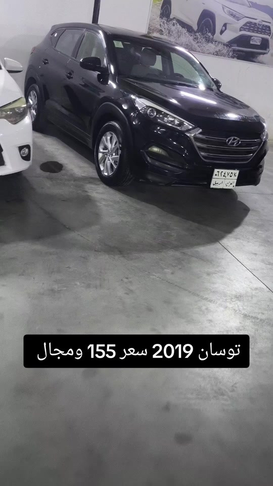 توسان ٢٠١٩ • اربيل • مجال