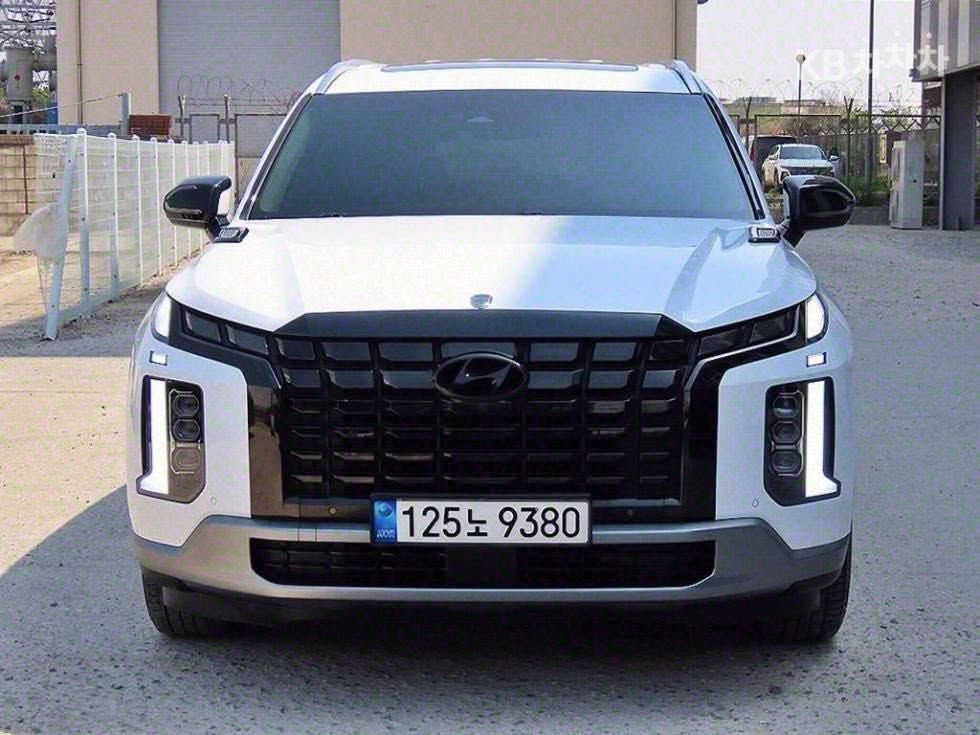 باليسايد • ٢٠٢٣ • باب صبغ