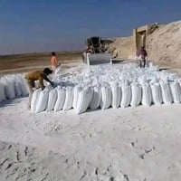 جص الموصل • ابيض • ٢٥كيس