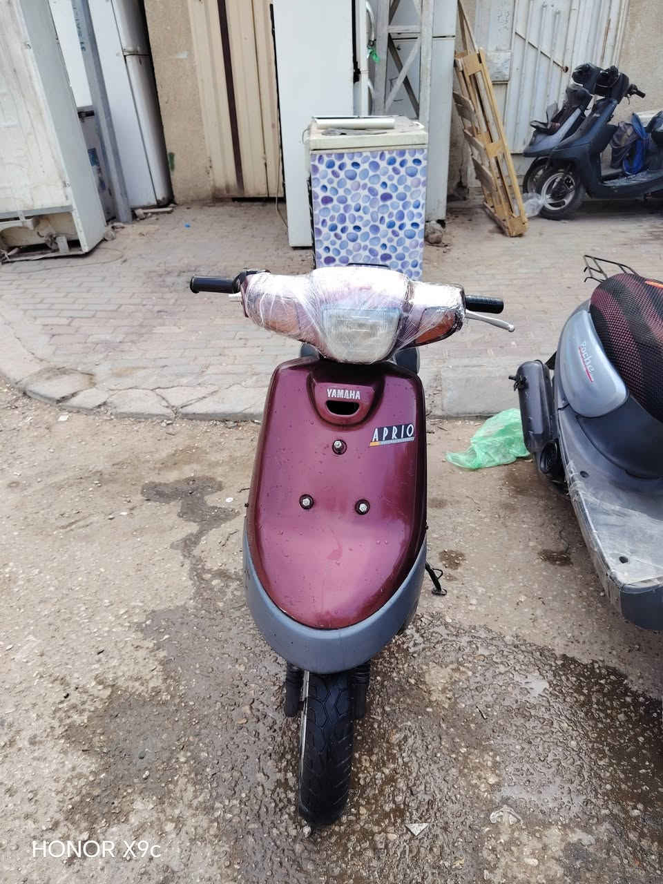 بطه • منغولي • موديل 99