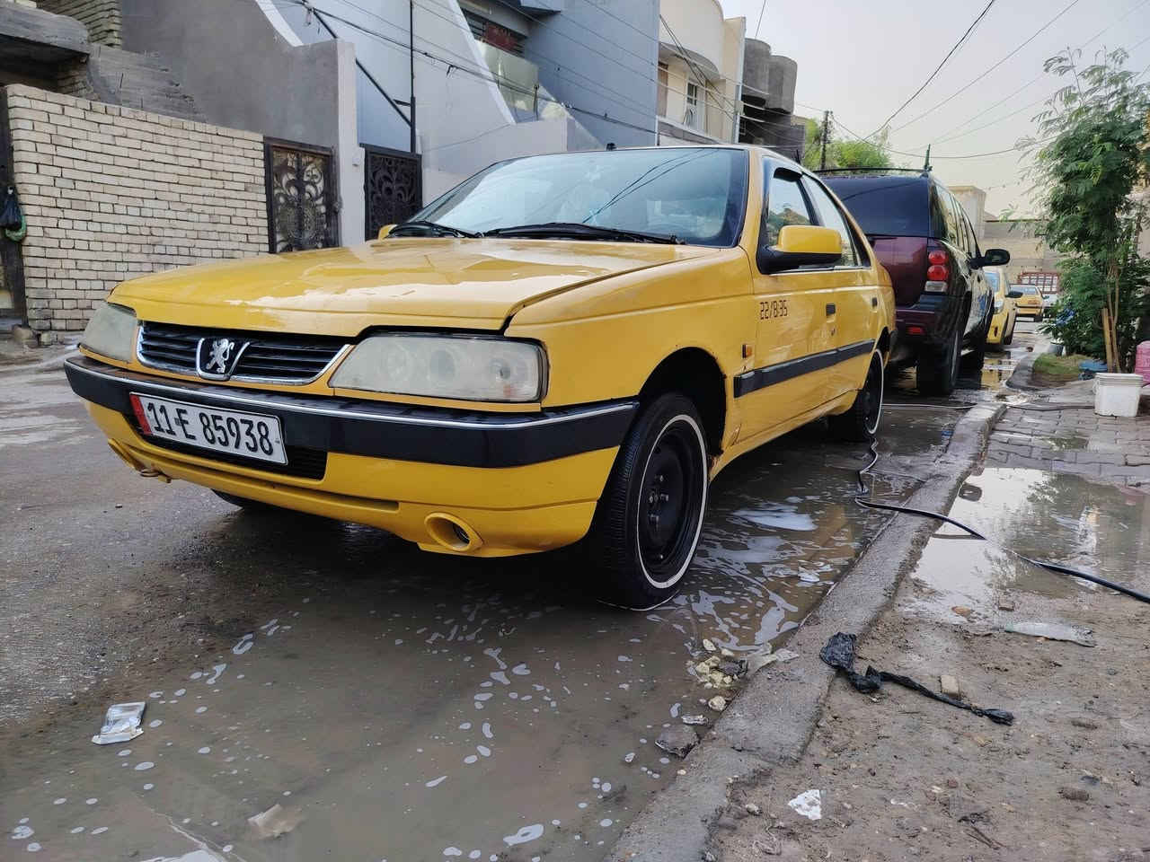 لميس • ٢٠١٢ • بدون صبغ