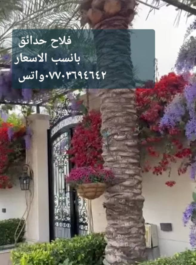 السلام عليكم 
فلاح حدائق ***********واتس

