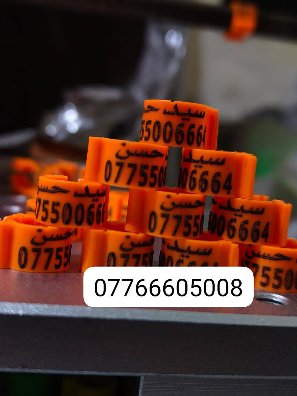 حجل طيرك وبسعار تنافسيه وشغل مضمون 👇❤️ حجول  وتوصيل لكل العراق والخبره بلعمل
من رخصت لمشرفين تريد حجل اصلي  ❤️ يوجد لدينا كل ماهو جديد عمل جميع  انواع حجول رابطه ستندر بنواعها حمام اللوت والزاجل والرافل والحمر وتور تيدي وطيور الزينه وباقي الطيور  بكافة انواعها  المغرد جاوه وبلابل  وفجانس وكناري وبادجي هاجرمو  وكوكتيل والدره وغندور وروز والحمام الملكي  ودجاج ومختلف النوعيات الالوان والموديلات حسب طلب الزبون الحجول والقياسيات موجوده بنواعها وتلبيس لطيور الكبار موجود حسب الطلب
الموثق والمفتوح وقراصات و المنيوم مفتوح الشغل درجة أولى حفر ليزر وحجول  والطيور بانواعها ملاحظه يوجد لدينا حجول زينه تراجي وحجل جرس خرخاشه واشرات وباقي الحجول بنواعها لكافه لطيور توجد خدمه توصيل لباب لبيت لجميع المحافظات العراق 🚕🚕 بسعر مناسب جدا للحجز مراسلة الصفحه او واتساب📱📞او الاتصال علئ الرقم او وتساب ملاحظه خبره بلعمل أكثر من 10 سنوات احذر التقليد 😍 لاتنسه لايك ومتابعه للحساب هدفنا تطوير الهوايه ولطيور لتعارف 😘 

***********
***********
