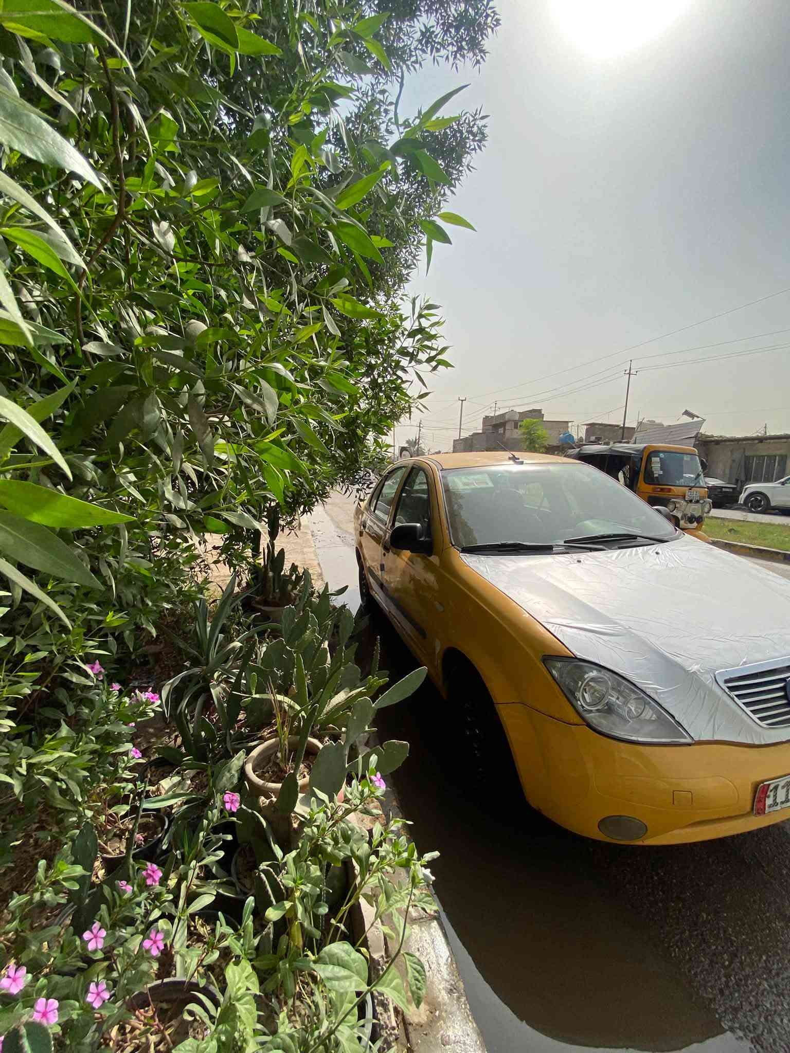 ٢٠١٥ • رقم بغداد • مكينه مكفوله