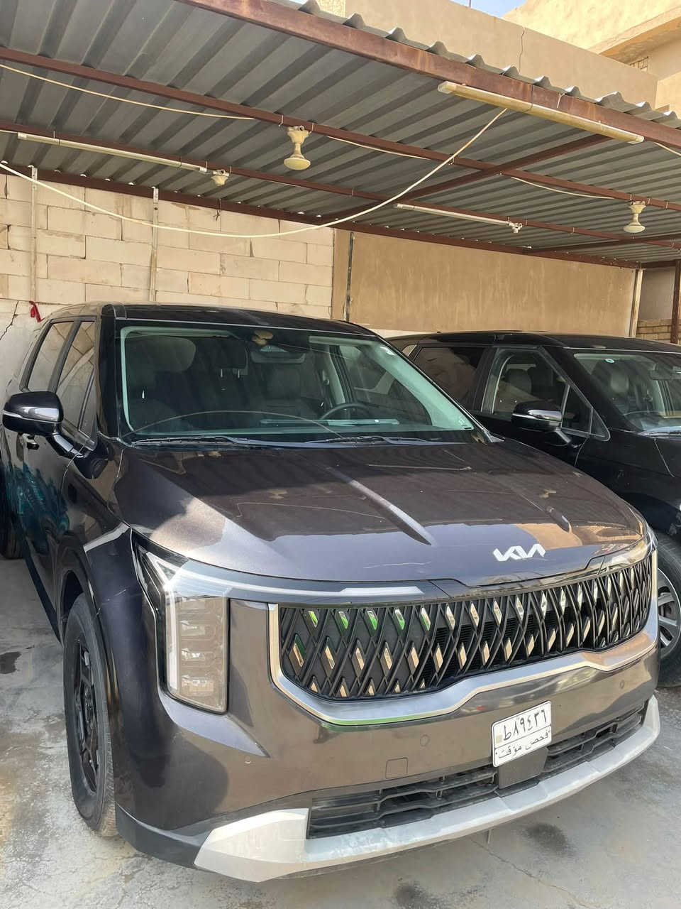 كارنفال • موديل ٢٥ • بدون رقم