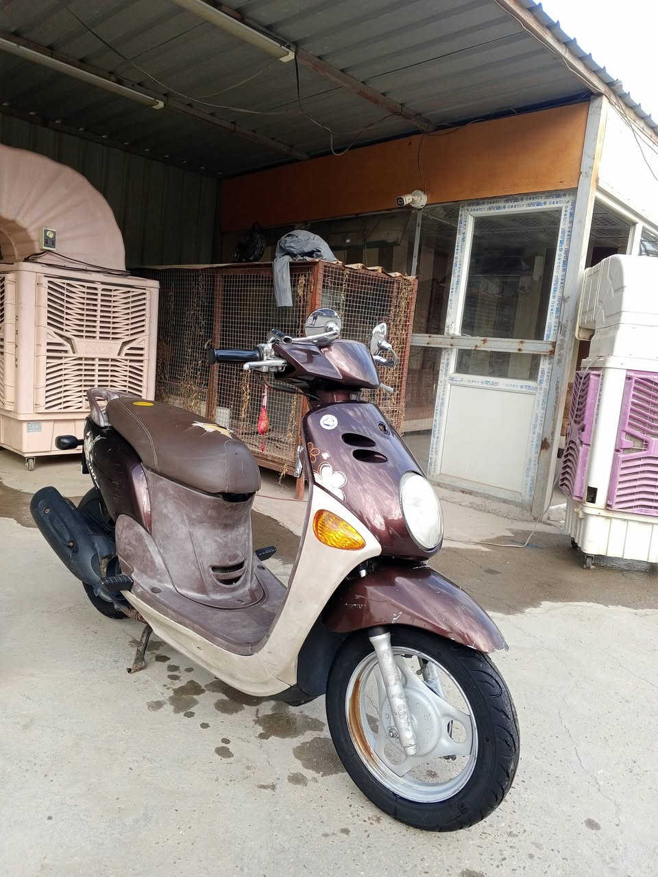 فله • نضيفه • ٢٠١١