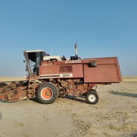 حاصوده • نضيف • مراوس