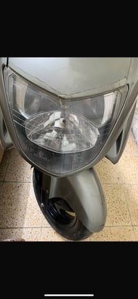 فورزة • مراوس • اوراق