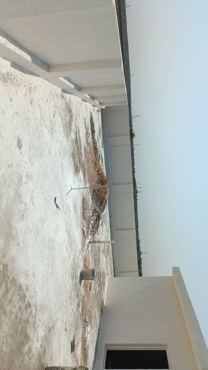 لبخ جراره ونثر
***********
