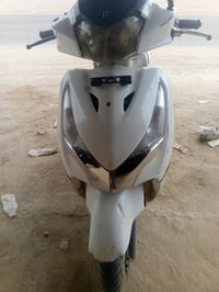 هندي • شغاله • حله