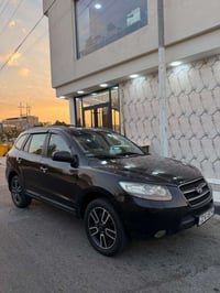 سنتافي • ٢٠١٠ • كاز