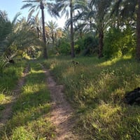بستان • دونم/نص • ماء وكهرباء