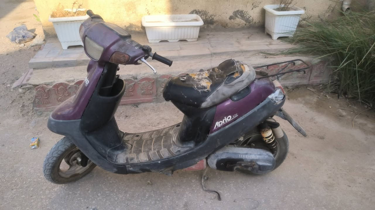 بطة • دوام • ممتازة