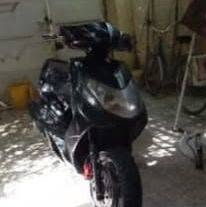 سكنس فحل • بوشه ٥٨.٥ • نقص اشاير اماميه