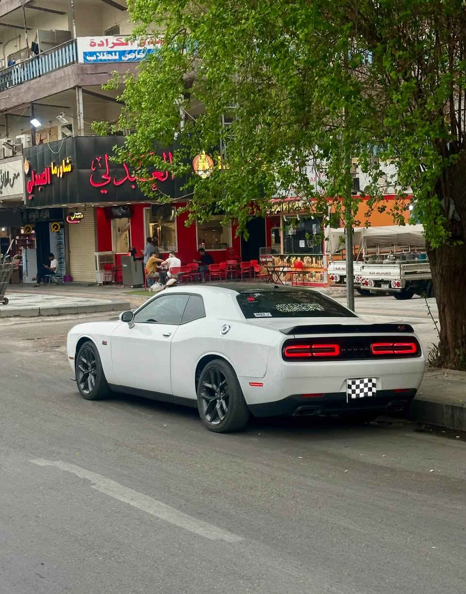 RT • موديل ٢٣ • بدون رقم