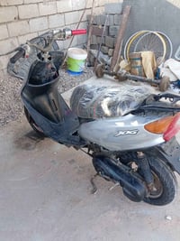 عصفورية • مفتوحه • سلف ماتشتغل