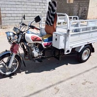 ستوتة • ٢٠٢٥ • أوراق كامل