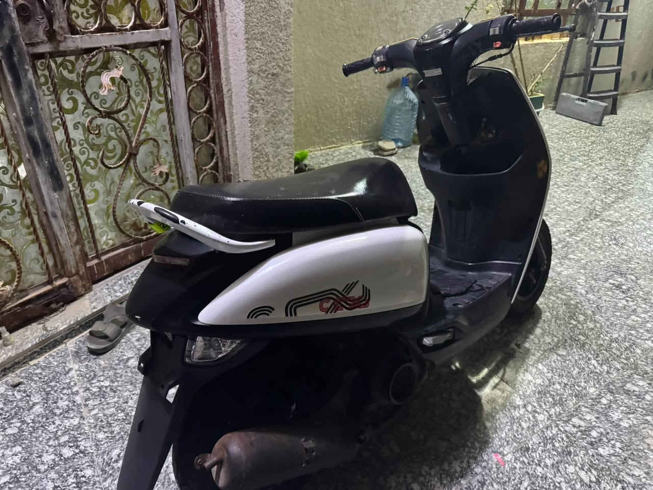 تايون • بوليس • ٢٠٢٤