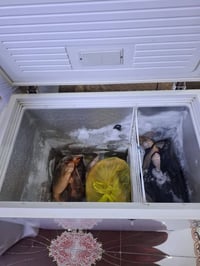 مجمدة للبيع نضيفة تجميدها حلو سعرها ١٣٠ 07736596115