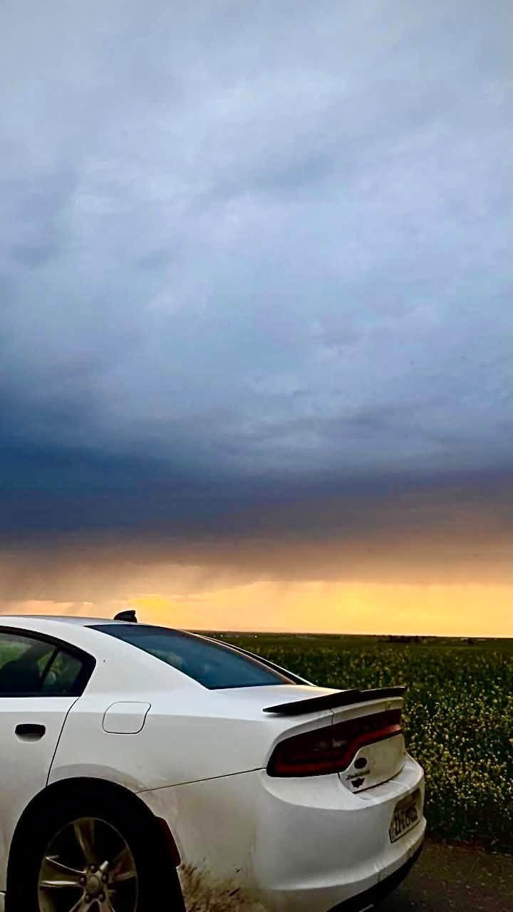 جارجر SXT • ٢٠١٧ • به شويه برد