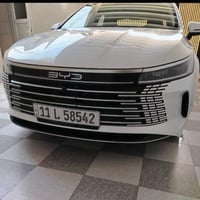 بي واي دي • ٢٠٢٥ • ٦٠٠٠ كم